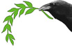 RavenHeadOlivebranchLR Raven head with olive branch